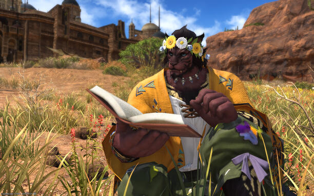 Final Fantasy 14 screenshot: A tiger lion person in a comfy light jacket is writing something in a magic book while looking out to the little sand islands near a rocky beach. There is a little open hut, a big ship and a light house on or near the island in
